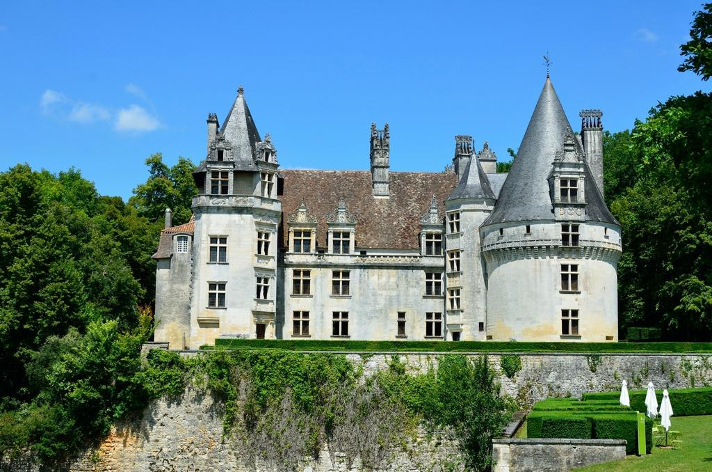 Chateau de Puyguilhem景点图片