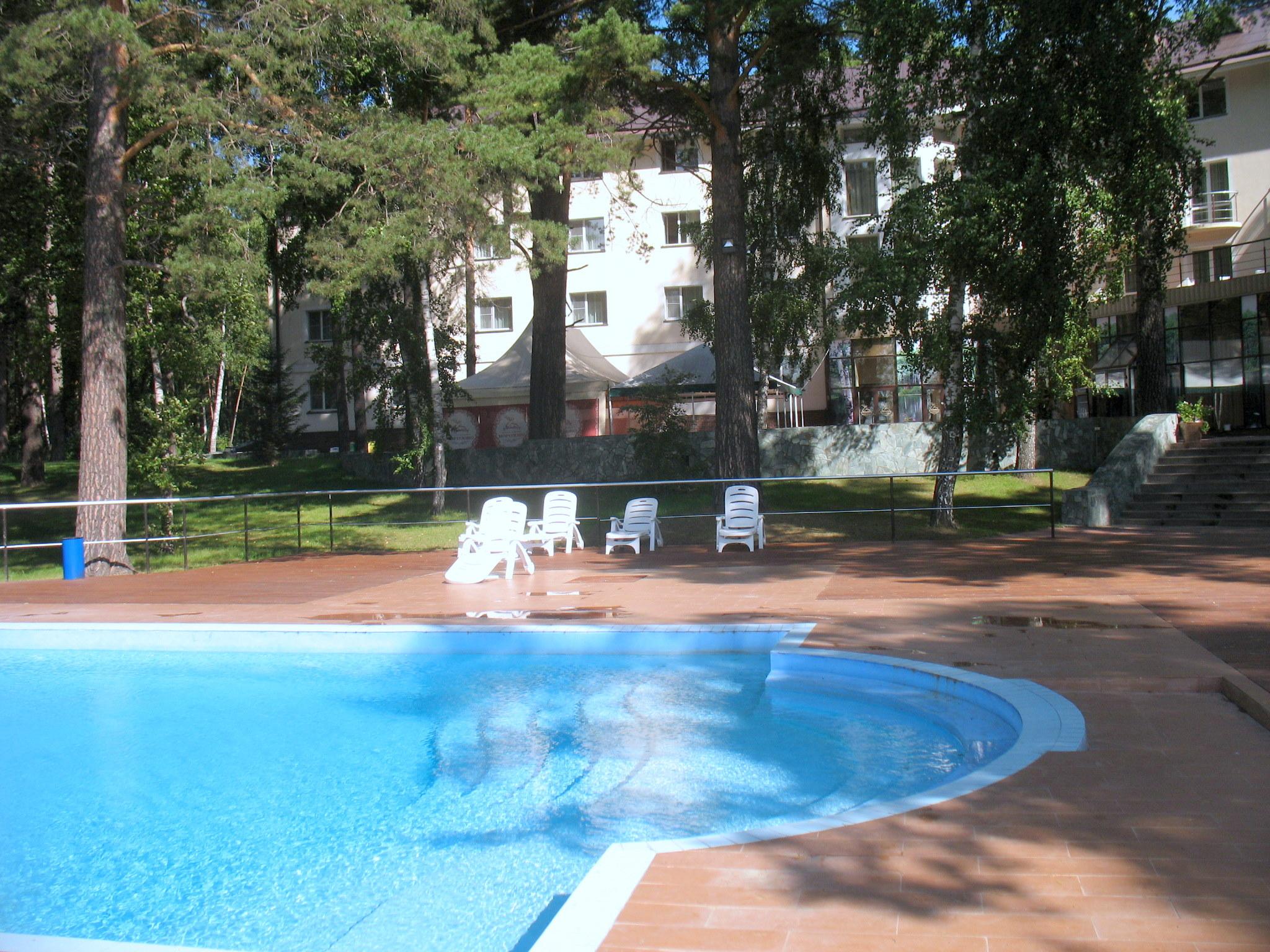 Morozovo Country Hotel-泳池