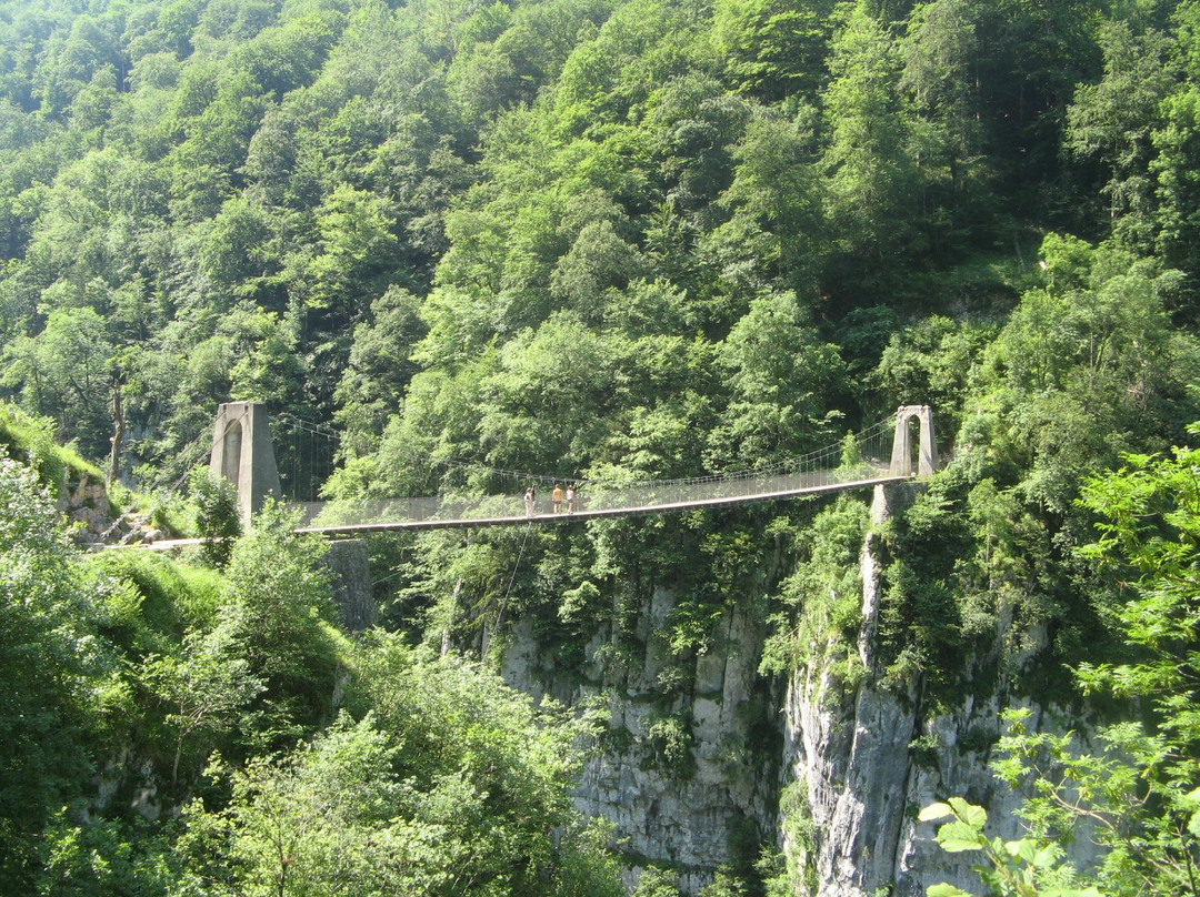 Passerelle d'Holzarte景点图片
