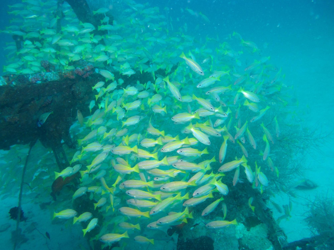 Scuba Ventures-Kavieng必去景点