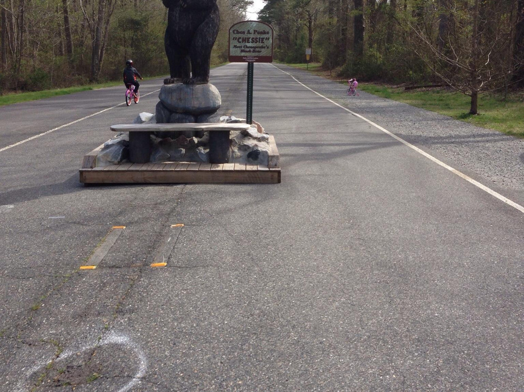 Dismal Swamp Canal Trail景点图片