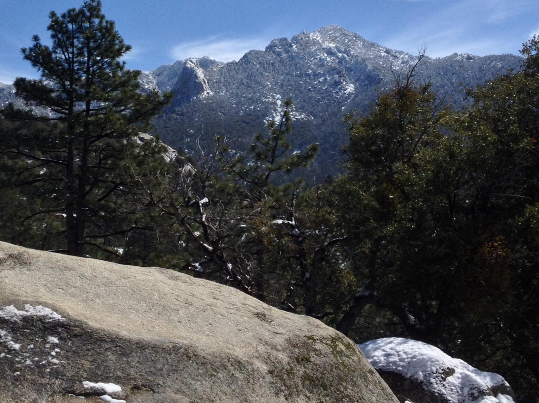 Idyllwild Nature Center-Idyllwild必去景点