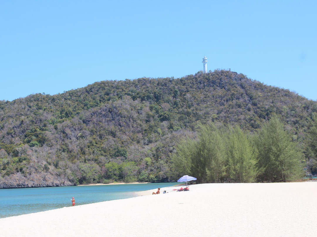 Natasha's Mangrove Nature Tour-兰卡威必去景点