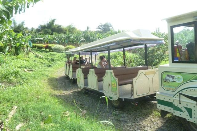 Visit Belfort MQ-Le Lamentin必去景点