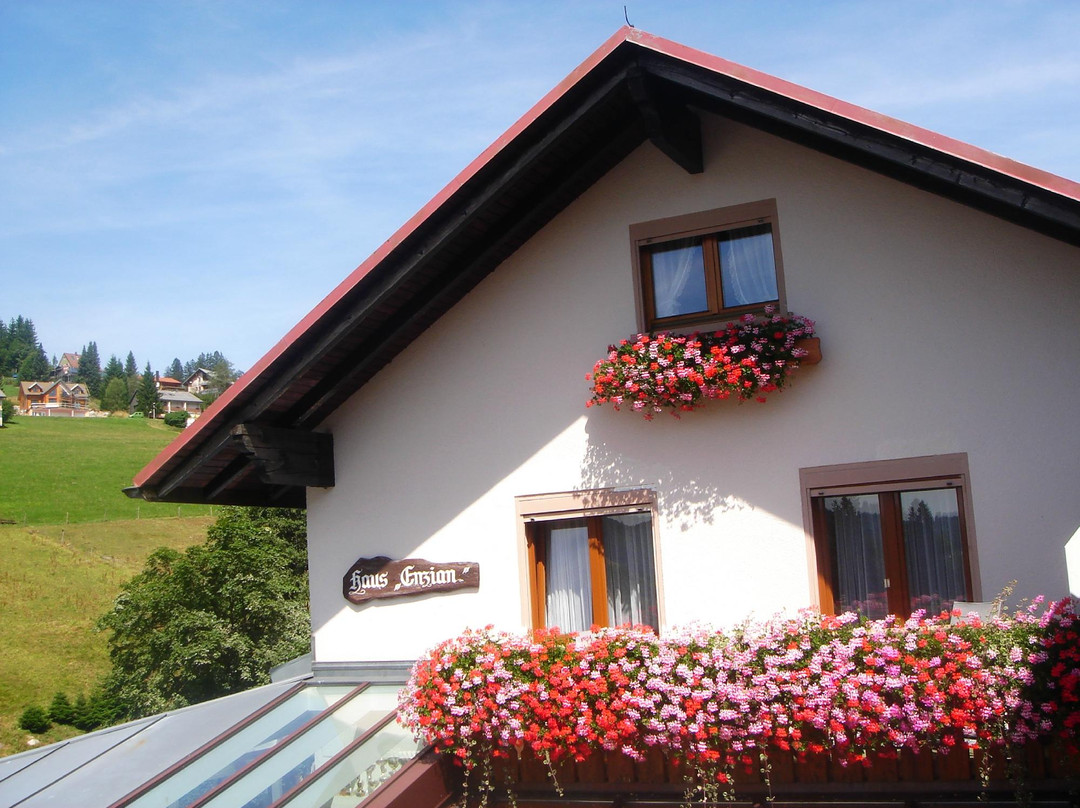 Pension Enzian主图