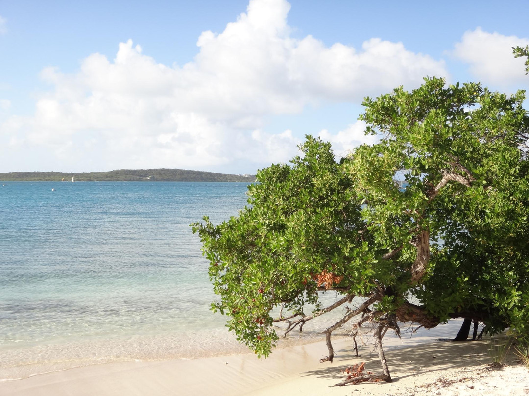 Green Island-安提瓜必去景点