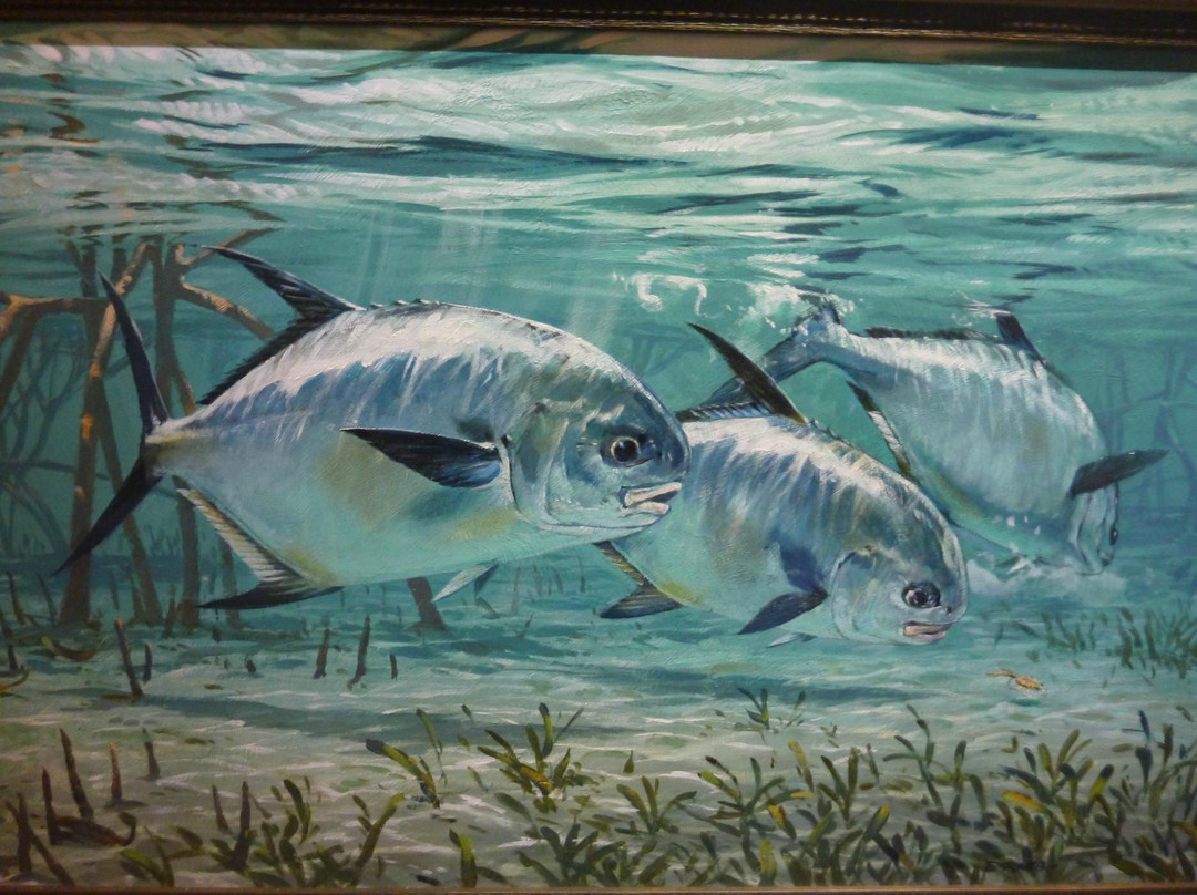 International Game Fish Association景点图片