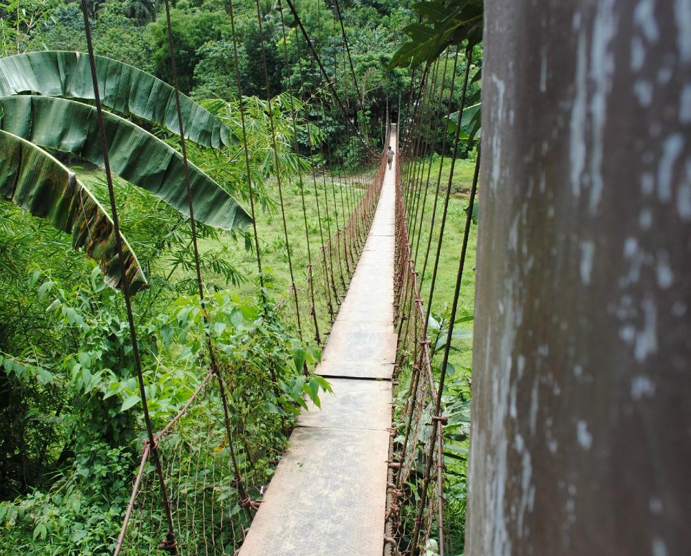 Tukuran Hanging Bridge景点图片