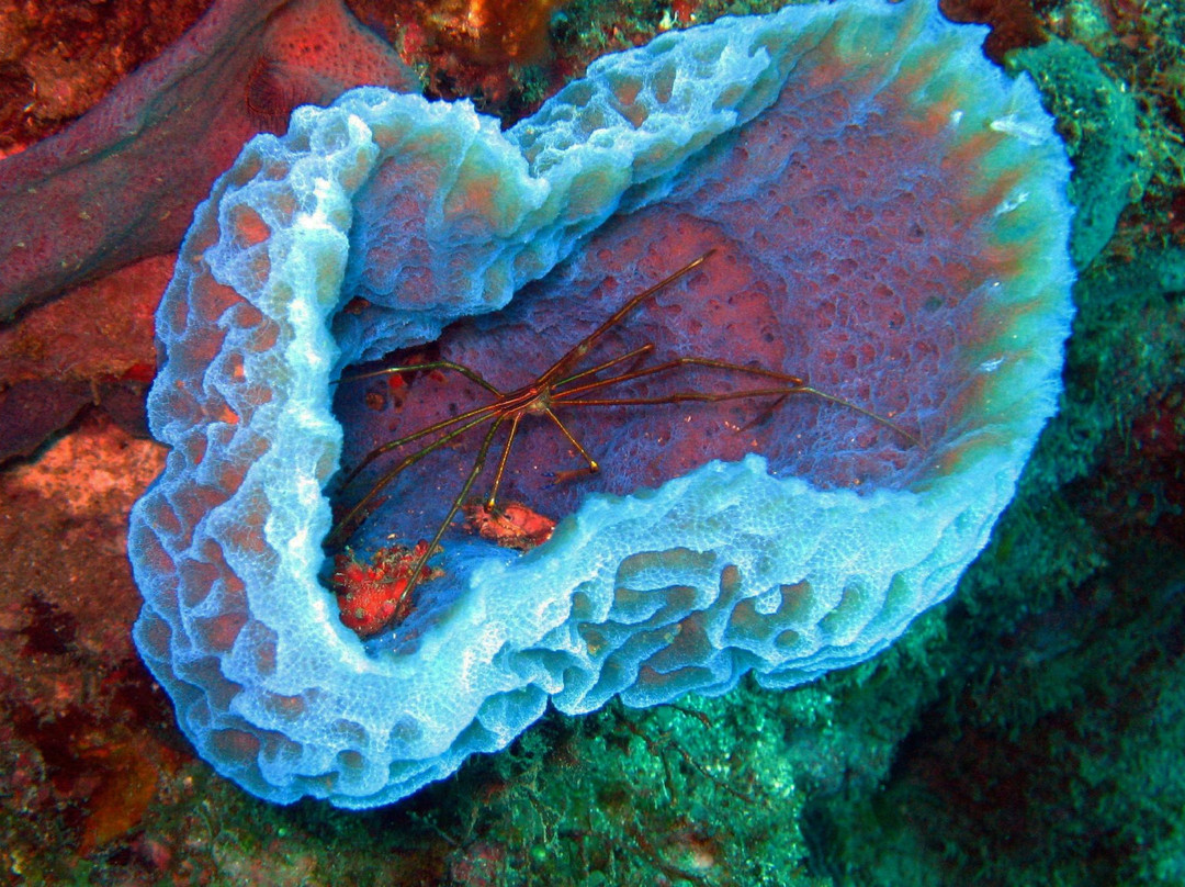 Ti'bulles-Grand Bourg必去景点