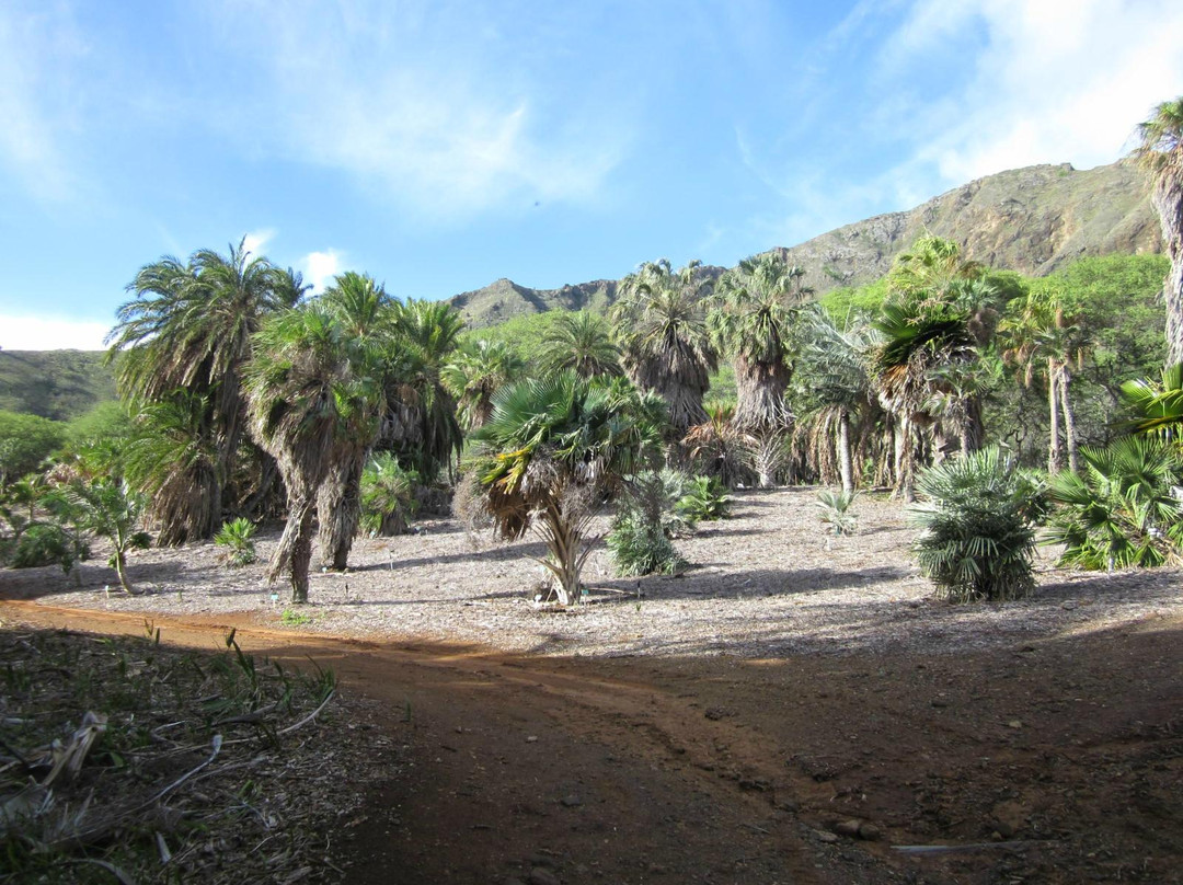 可可火山口植物园-火奴鲁鲁必去景点