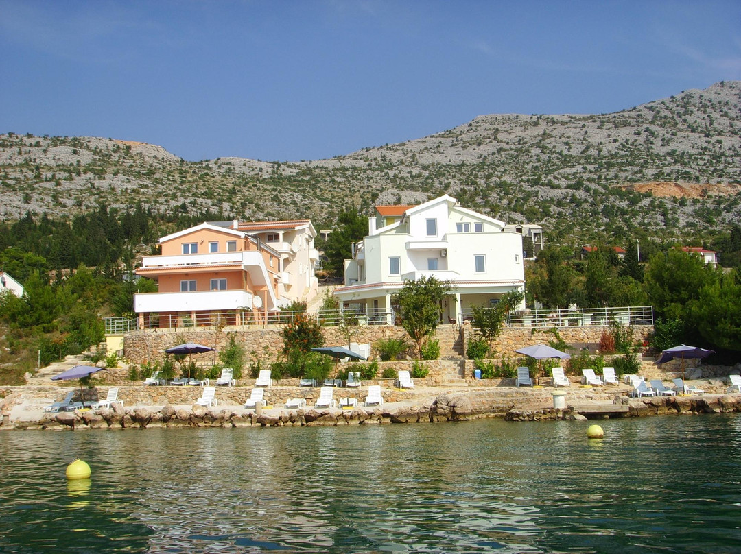 Adria Paradies