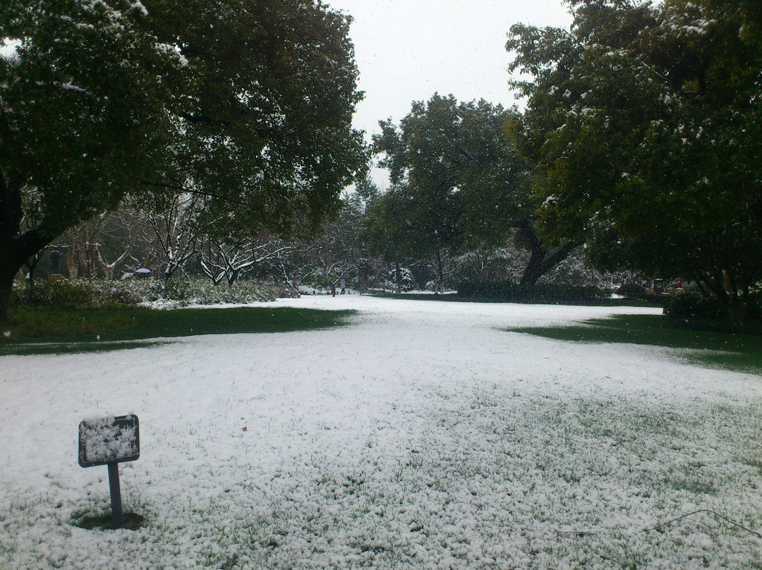 断桥残雪-杭州市必去景点