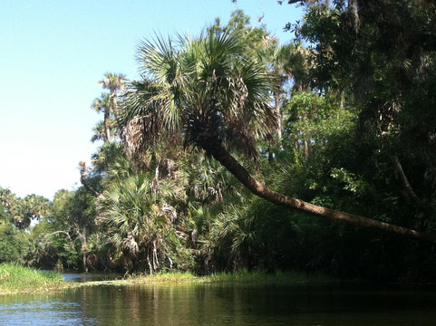 Ten Mile Creek Preserve-匹尔斯堡必去景点