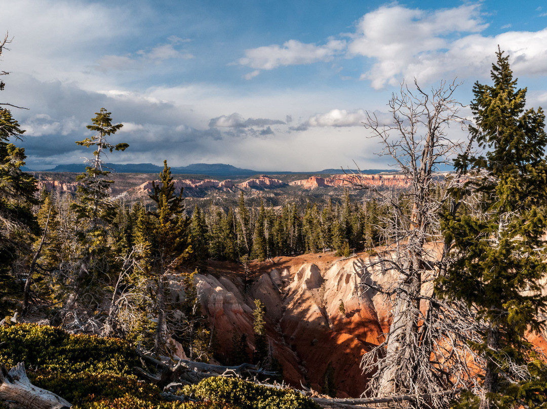 Bristlecone Loop-布莱斯峡谷国家公园必去景点