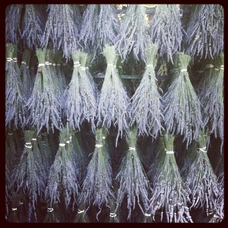 Peace Valley Lavender Farm景点图片