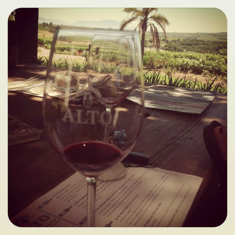 Alto Wine Estate-斯泰伦博斯必去景点