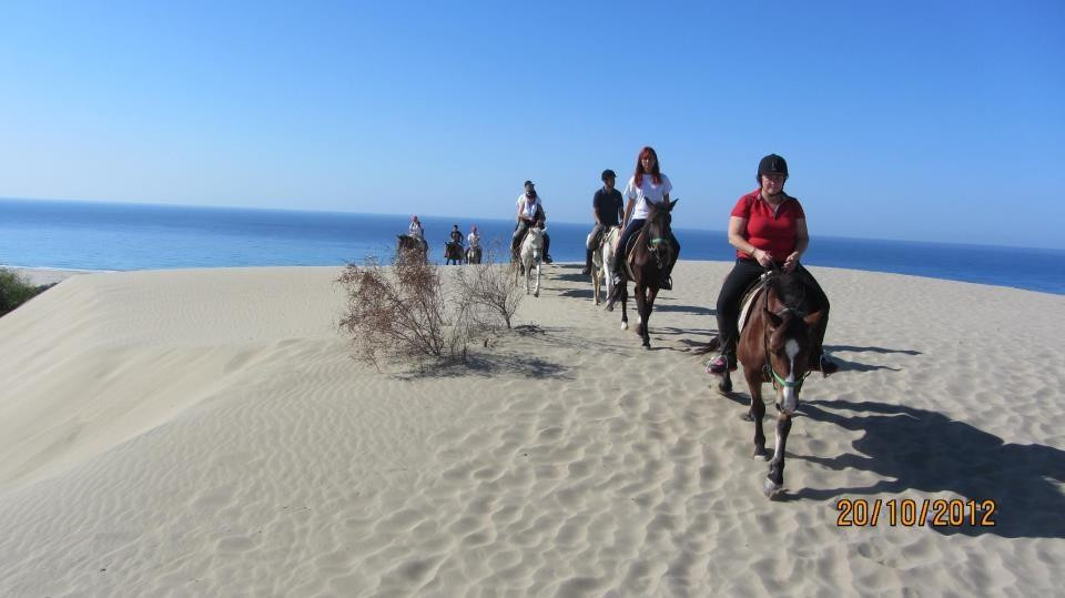 Kirca Travel- Patara Horseriding景点图片