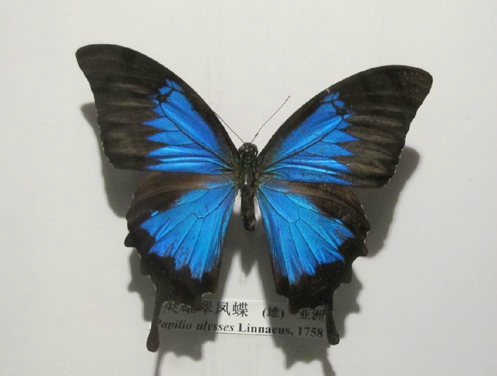 长春地质宫博物馆-长春市必去景点