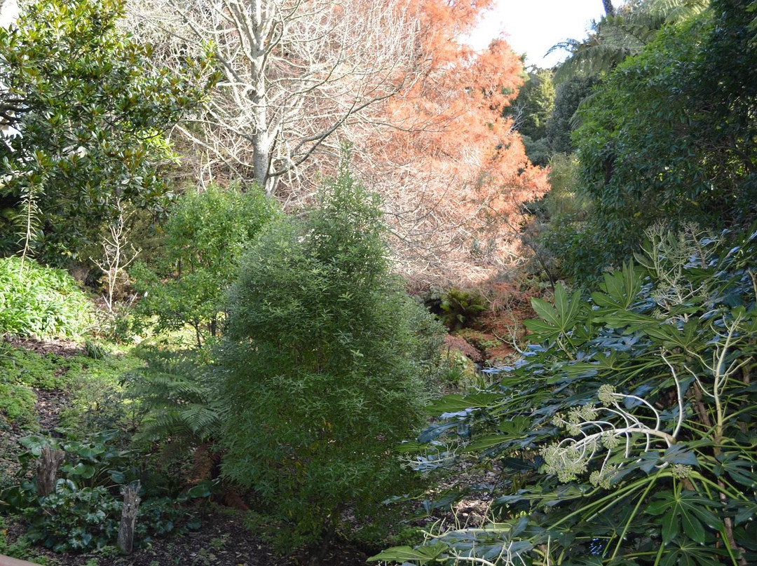 Goodson Dell-Hawera必去景点