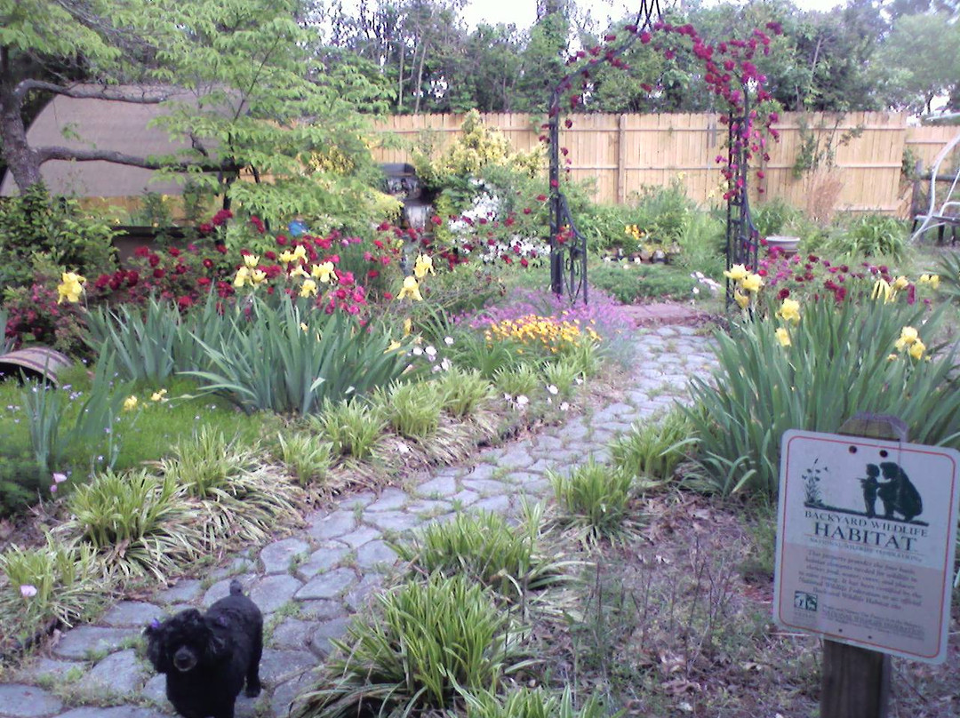 Twin Magnolias Bed and Breakfast主图