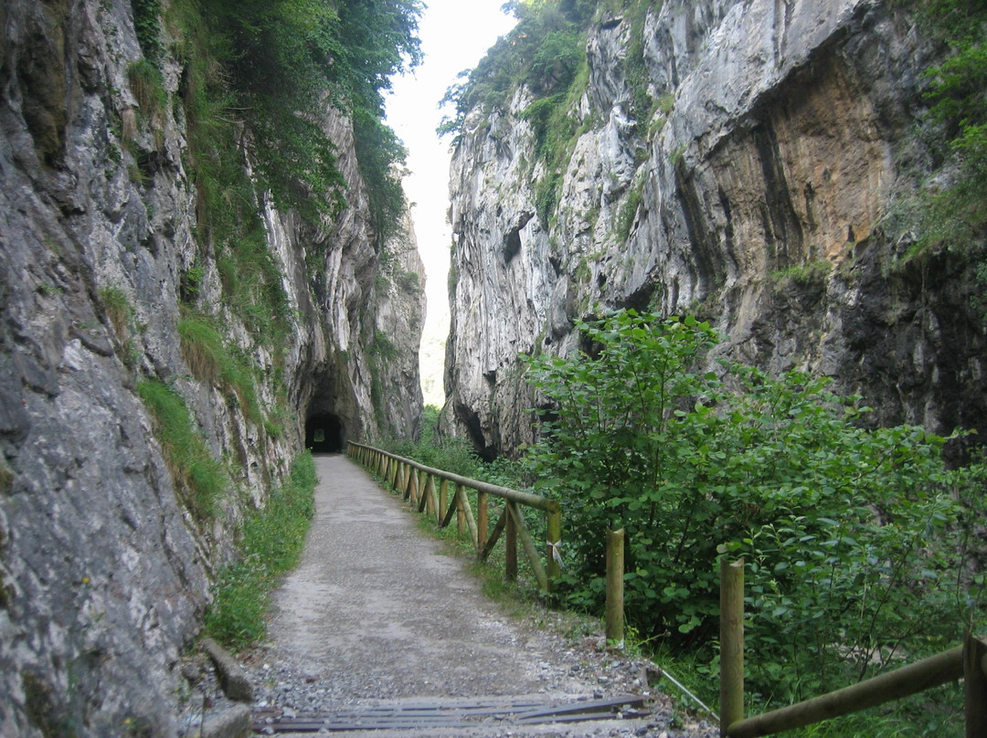 Quiros Municipality旅游攻略图片