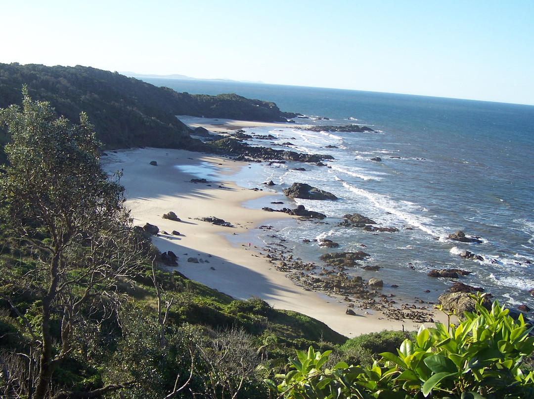 海边漫步-麦克夸利港必去景点