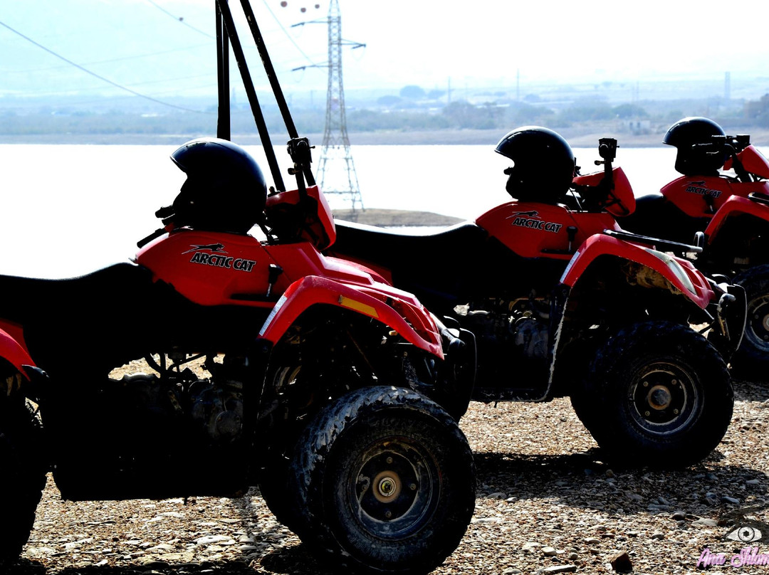 JW Tours Day Tours-Arad必去景点