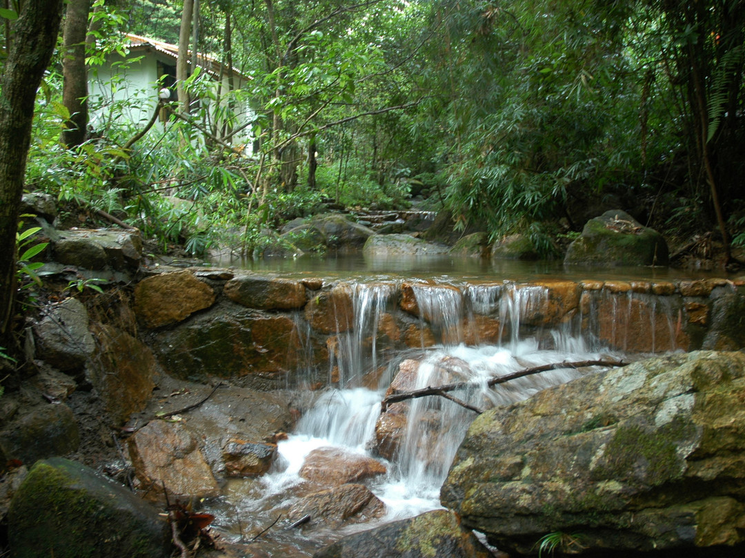 云天海原始森林度假村主图