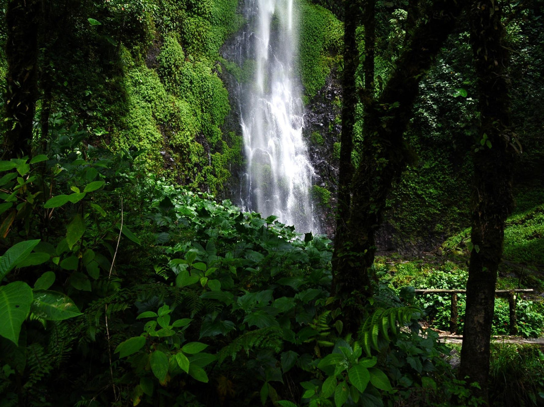 Valle del Cauca Department旅游攻略图片