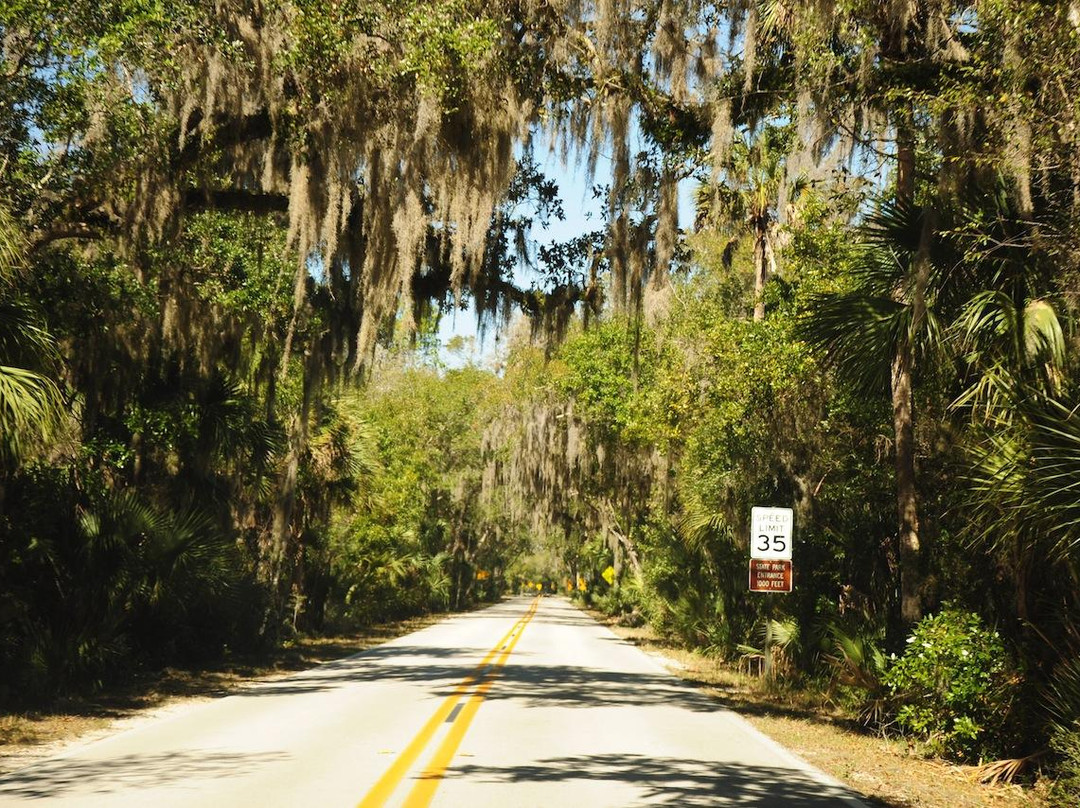 Ormond Scenic Loop & Trail-奥蒙德海滩必去景点