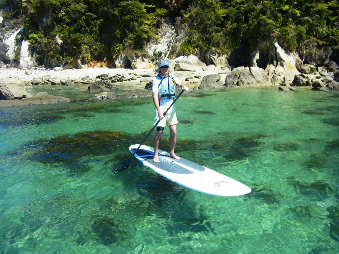 Abel Tasman Paddleboarding-凯特里特里必去景点