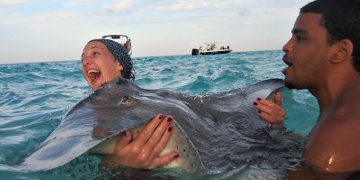 Acquarius Sea Tours-七哩滩必去景点