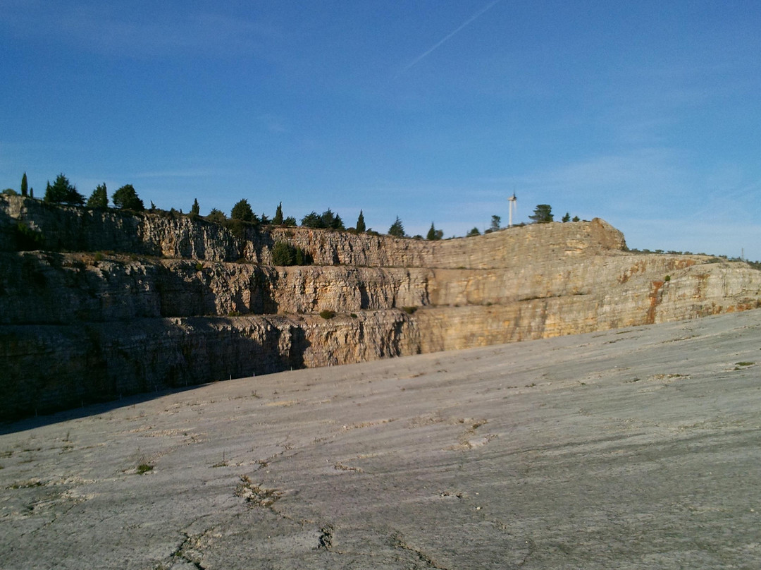 Natural Monument of the Dinosaur Footprints景点图片