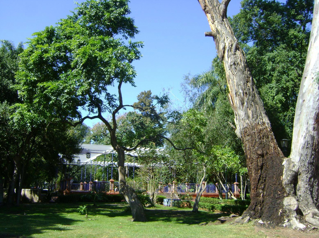 巴勒莫公园-布宜诺斯艾利斯必去景点