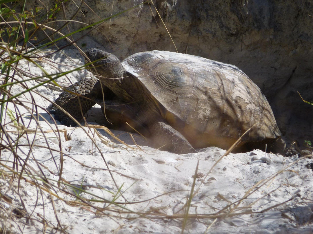 Bowditch Point Park-迈尔斯堡海滩必去景点