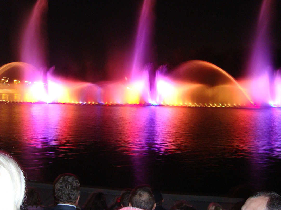 Multimedia Fountain Roshen-Vinnytsia必去景点