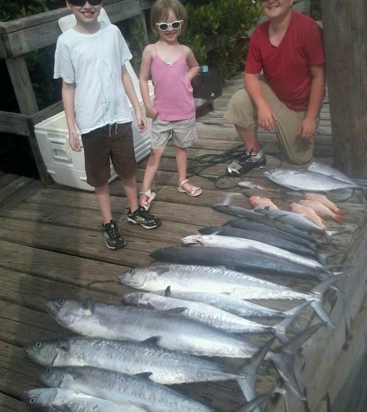 Paradise Fishing Charters-Don Pedro Island必去景点