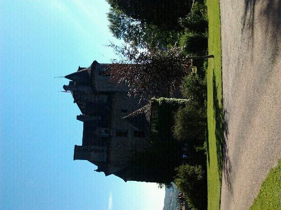 Chateau de Pesteils景点图片
