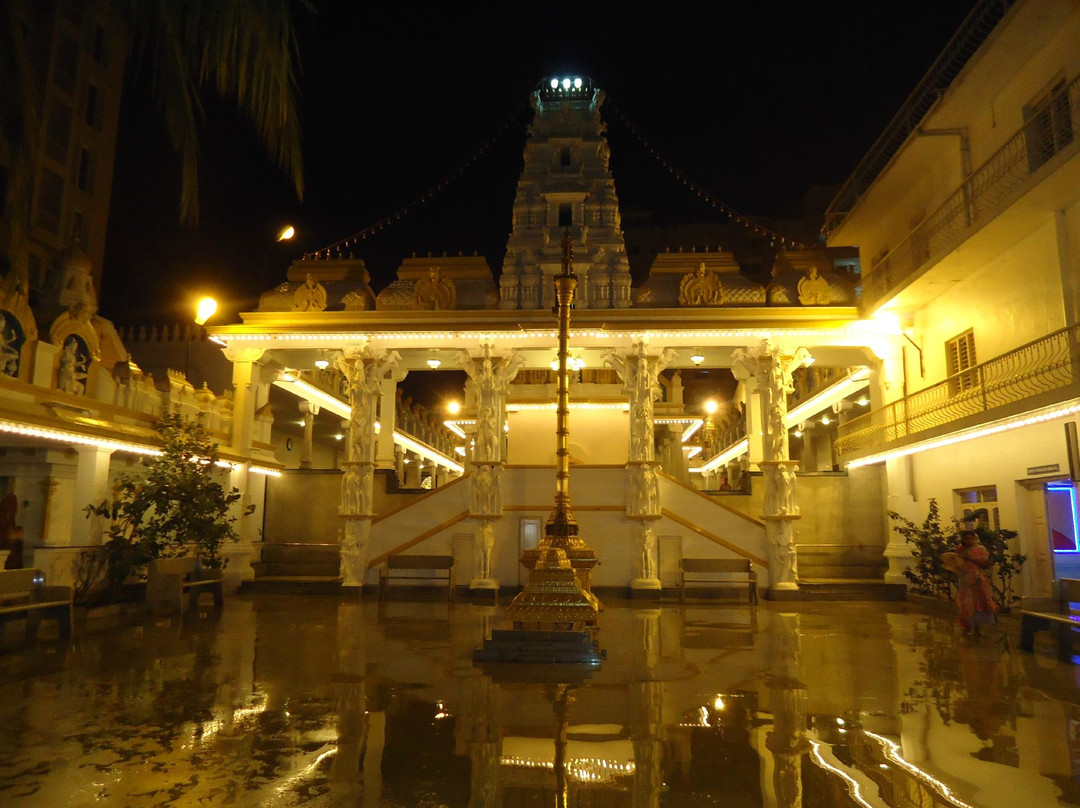Sree Surya Narayana Swamy Temple景点图片