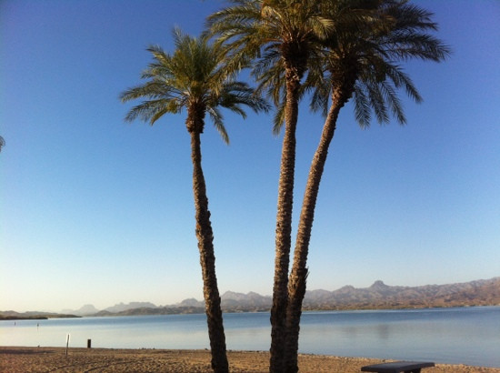Lake Havasu State Park-哈瓦苏湖城必去景点