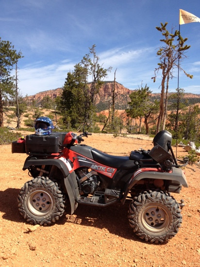 Bryce Wildlife Adventure-布莱斯必去景点