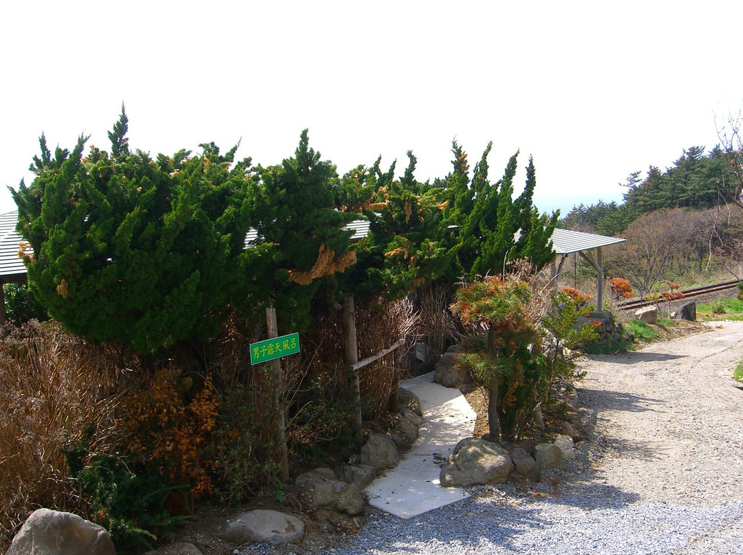 Michinoku Onsen Ryokan主图