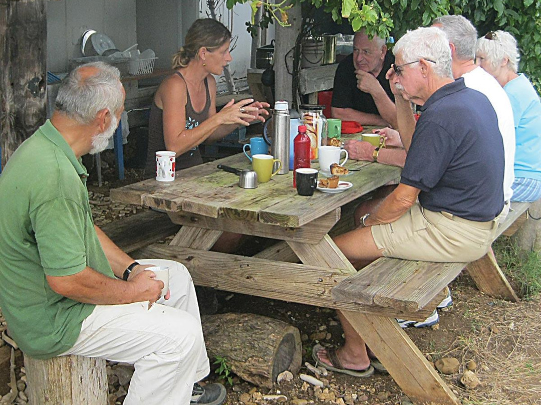 Aletta's Goat Farm (by Appointment Only)-博奈尔岛必去景点