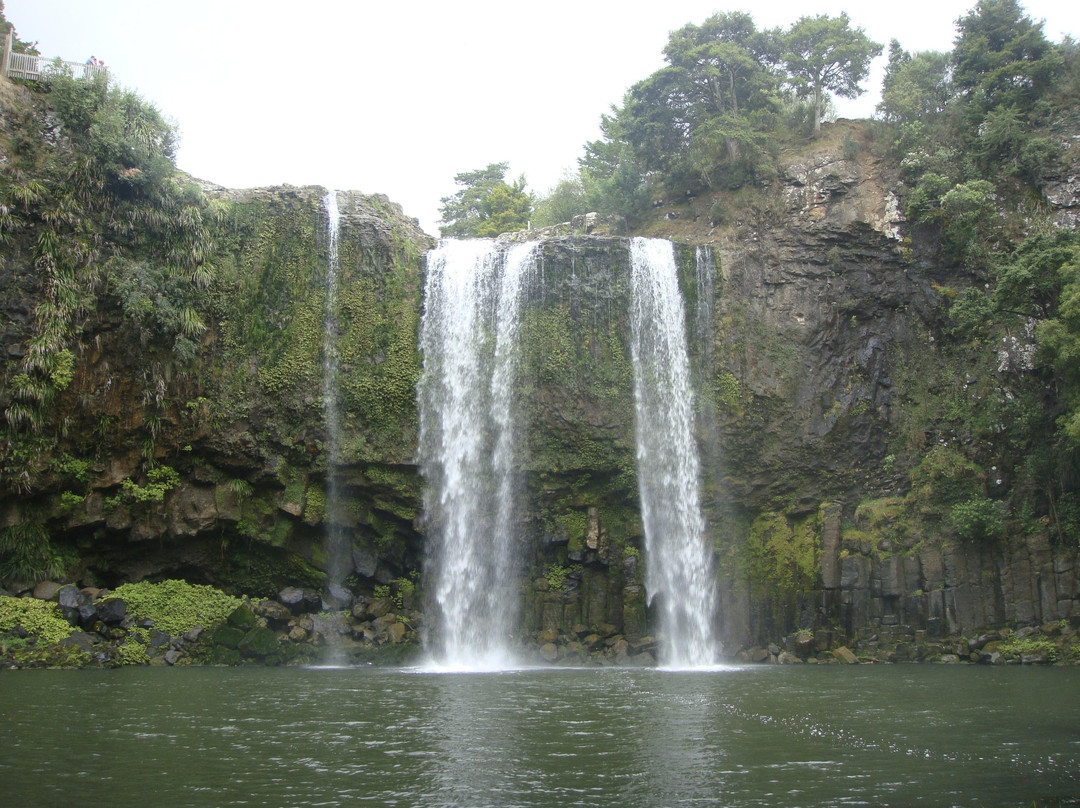 Whangarei Falls景点图片