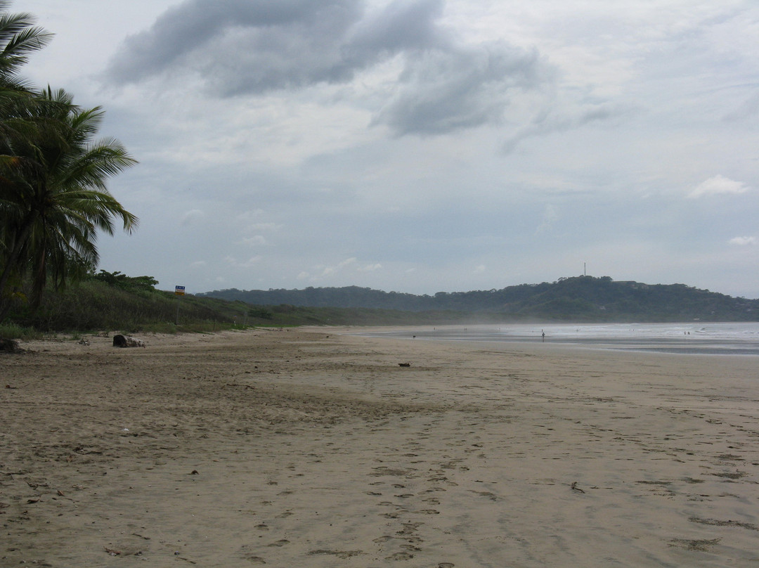 Las Baulas National Marine Park-大滩必去景点