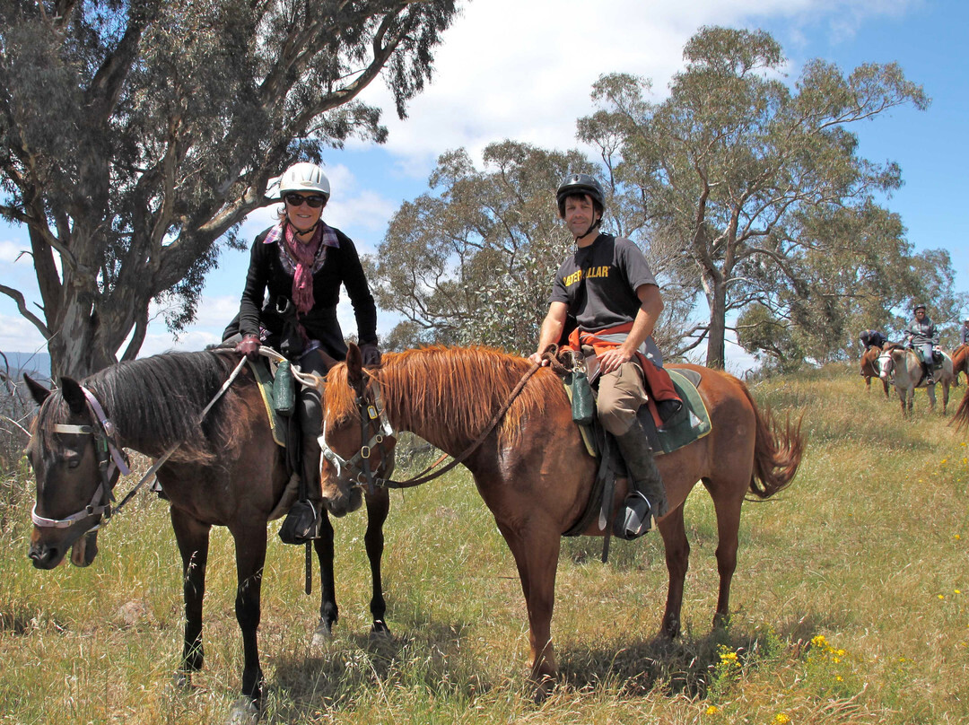 Watson's Mountain Country Trail Rides - Day Tours-曼斯菲尔德必去景点