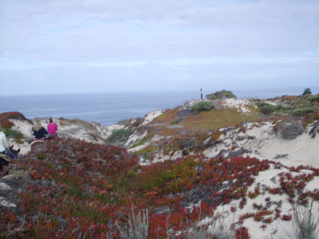 Pebble Beach Equestrian Center-圆石滩必去景点