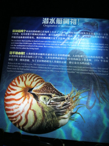 富国海底世界-北京市必去景点