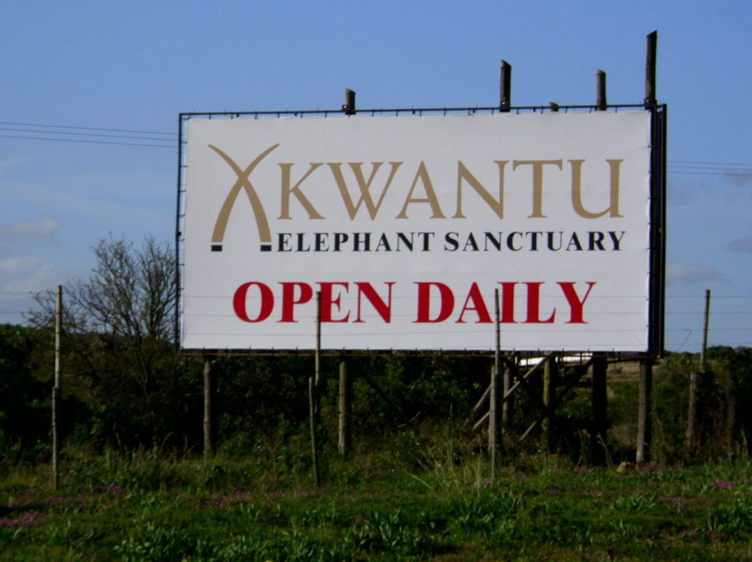 Kwantu Private Game Reserve - Day Visits-伊丽莎白港必去景点