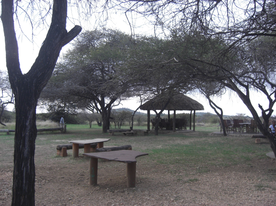 Nguuni Nature Sanctuary-蒙巴萨必去景点